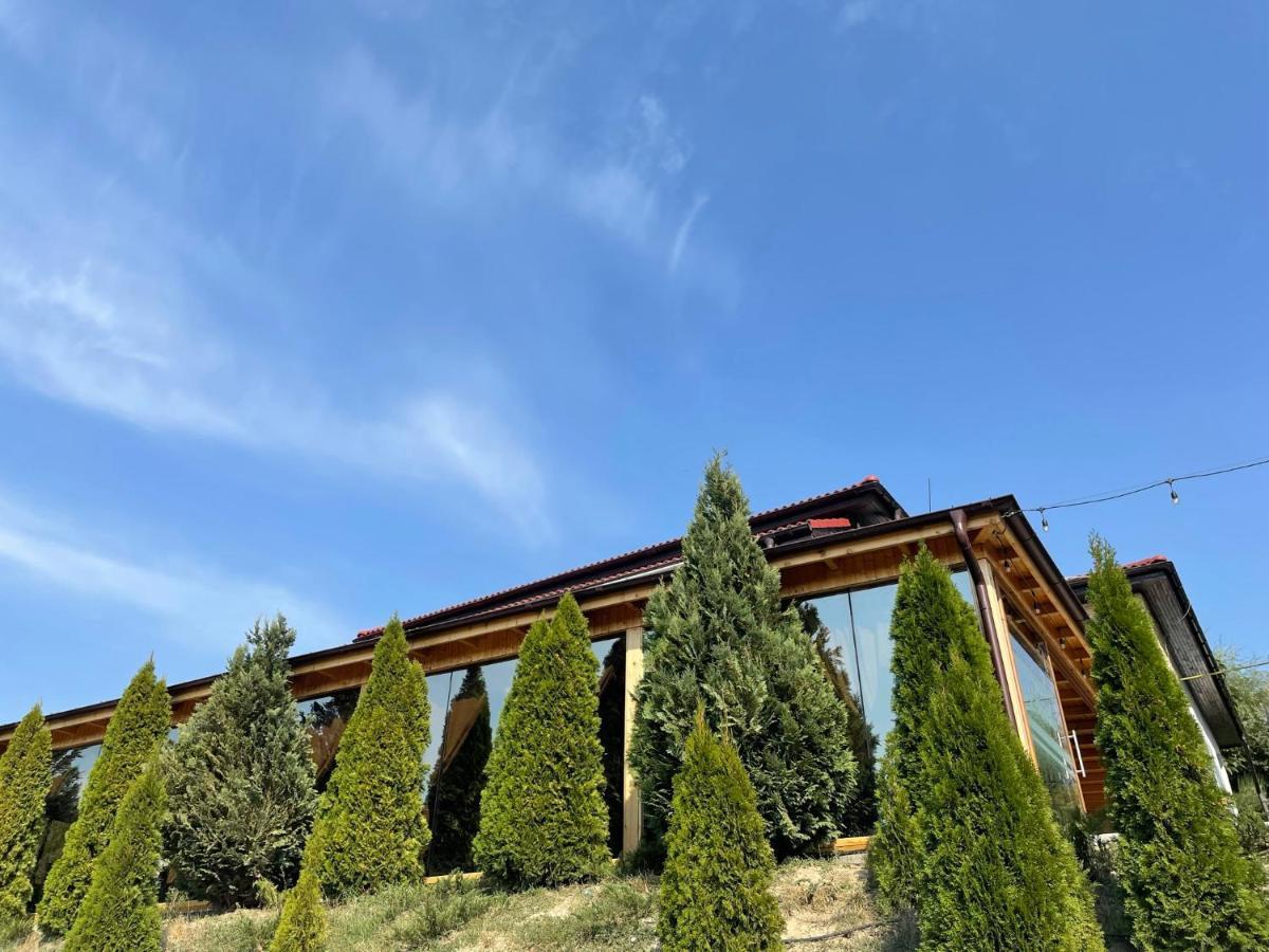 Pensiunea Lebada Tulcea Exterior foto